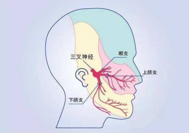 94岁老太三叉神经痛5年 | 小妲己直播app
5分钟解除病痛
