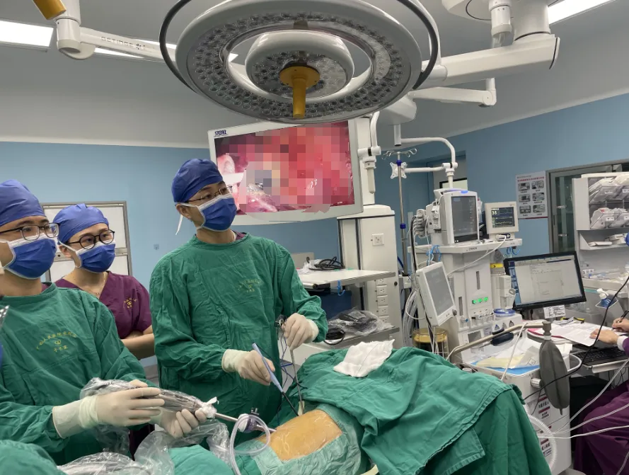 80岁老人高危肺癌住院 | 小妲己直播app
多学科实施复杂肺叶切除术助患者获新生