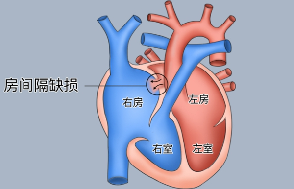 微信图片_20250825081216.jpg 微信图片_20250825081216.jpg