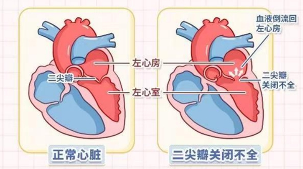 微信图片_20250822081358.jpg 微信图片_20250822081358.jpg