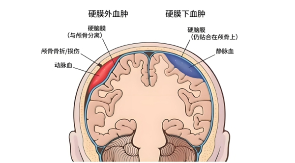微信图片_2025-09-05_081302_031.jpg 微信图片_2025-09-05_081302_031.jpg